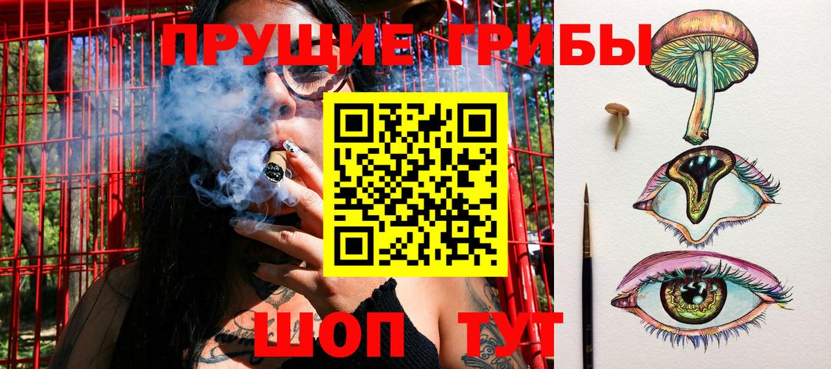 Галлюциногенные грибы мухоморы Барнаул